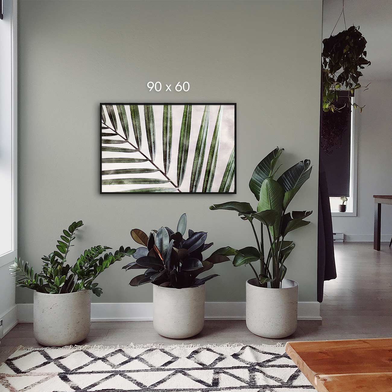 Kentia Palme