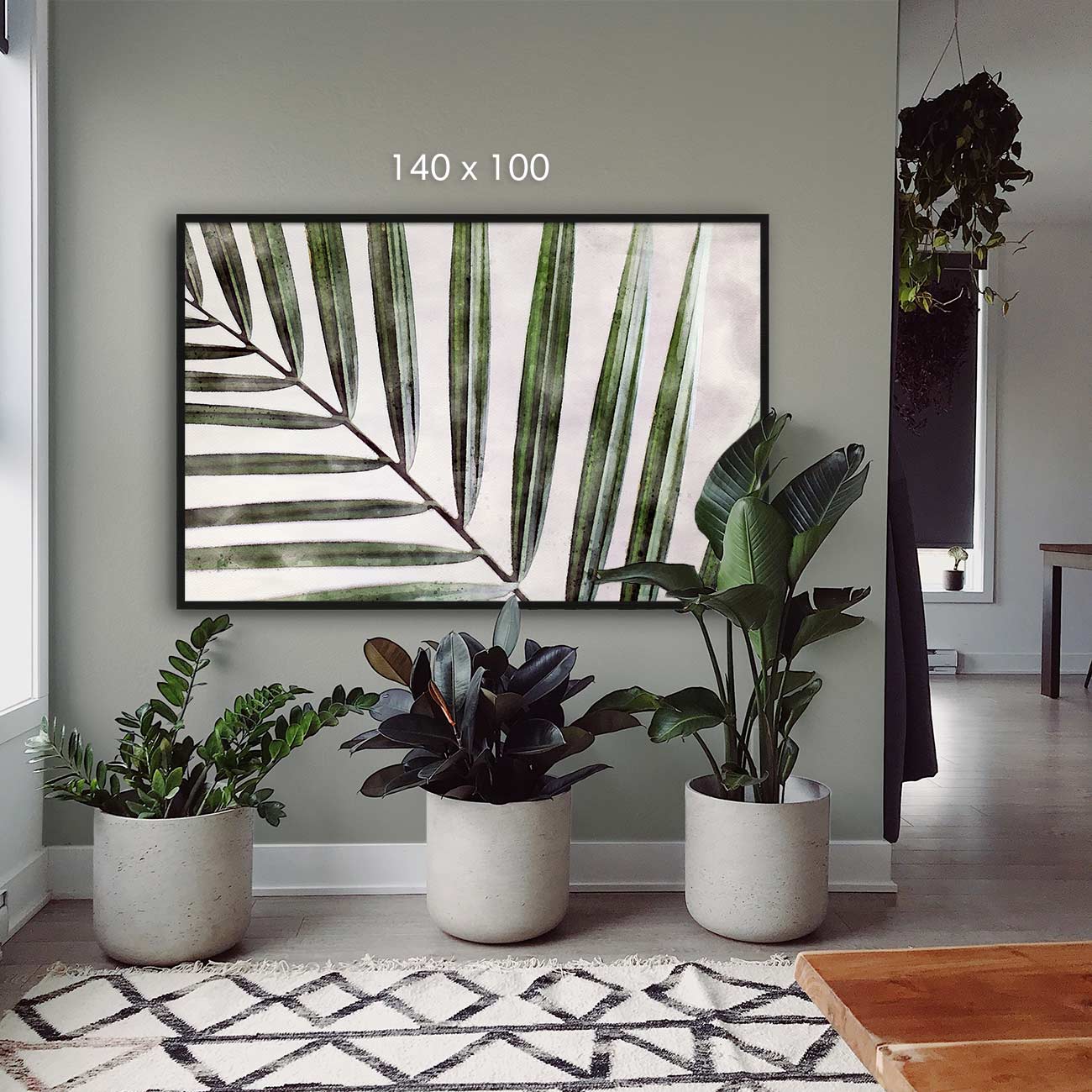 Kentia Palme