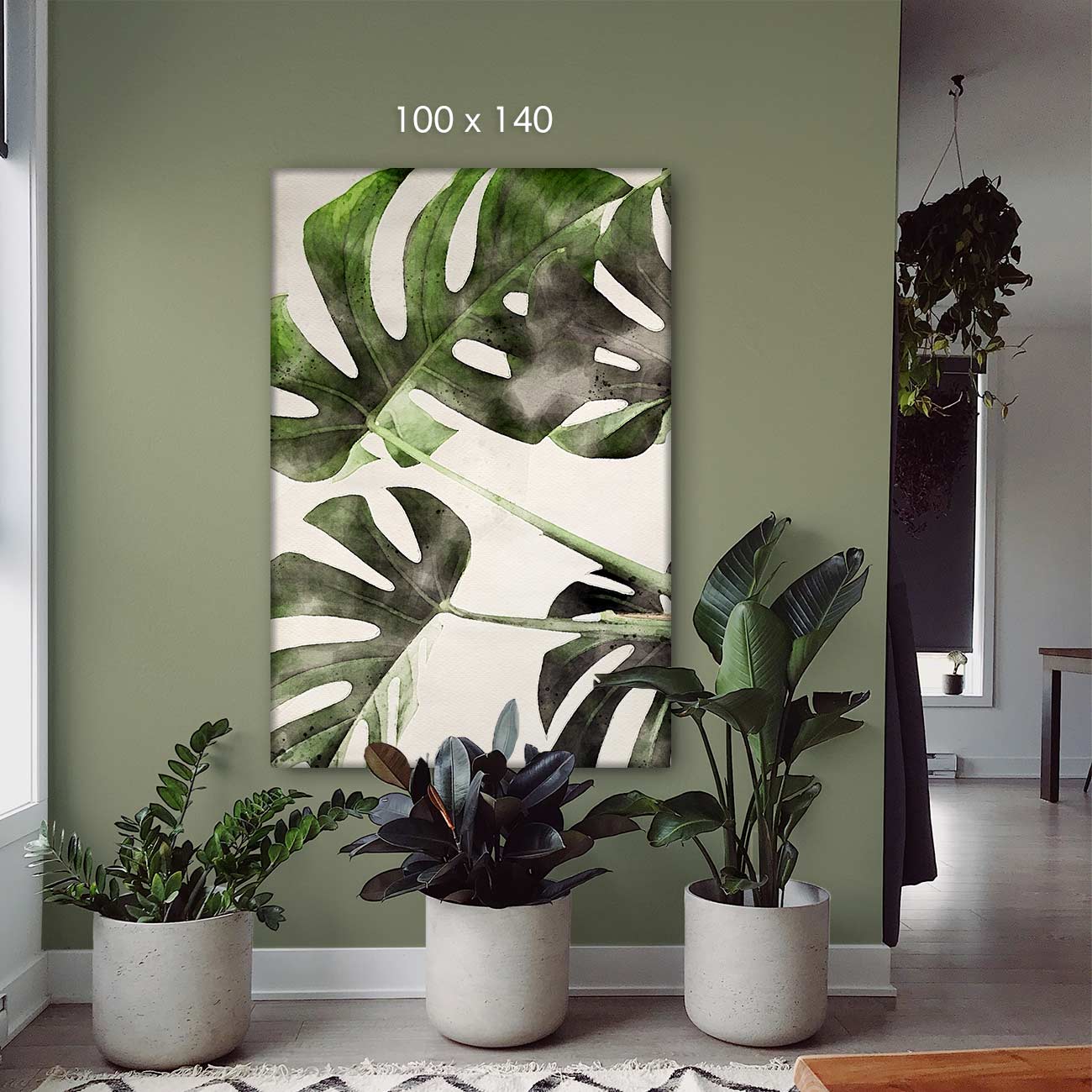 Monstera-Deliciosa