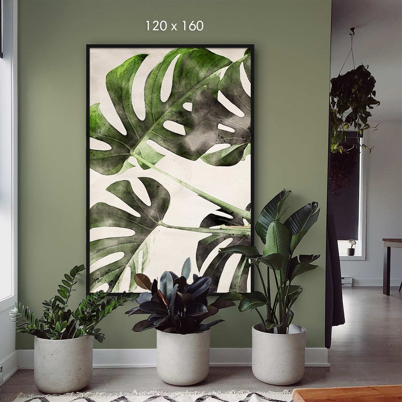 Monstera-Deliciosa