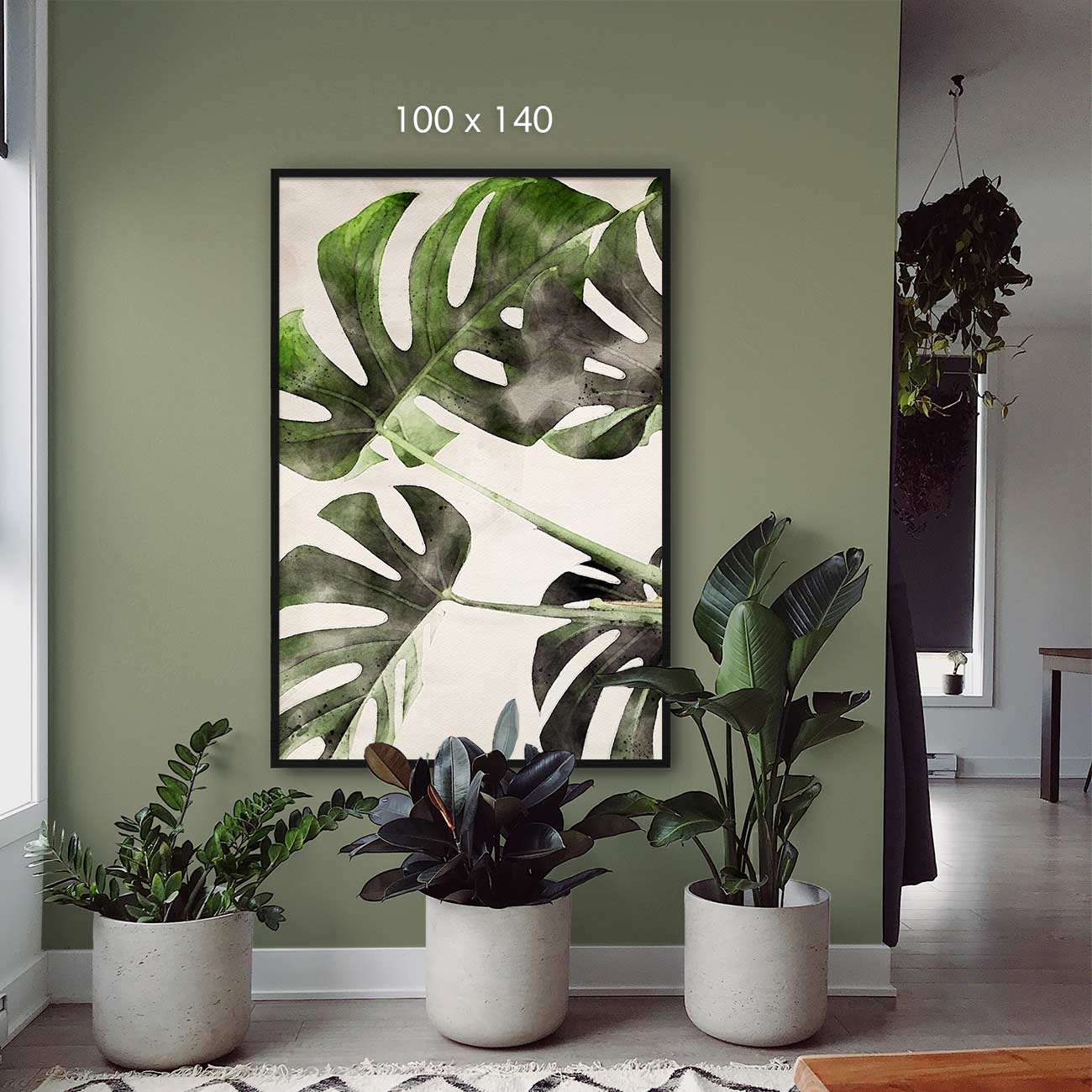 Monstera-Deliciosa