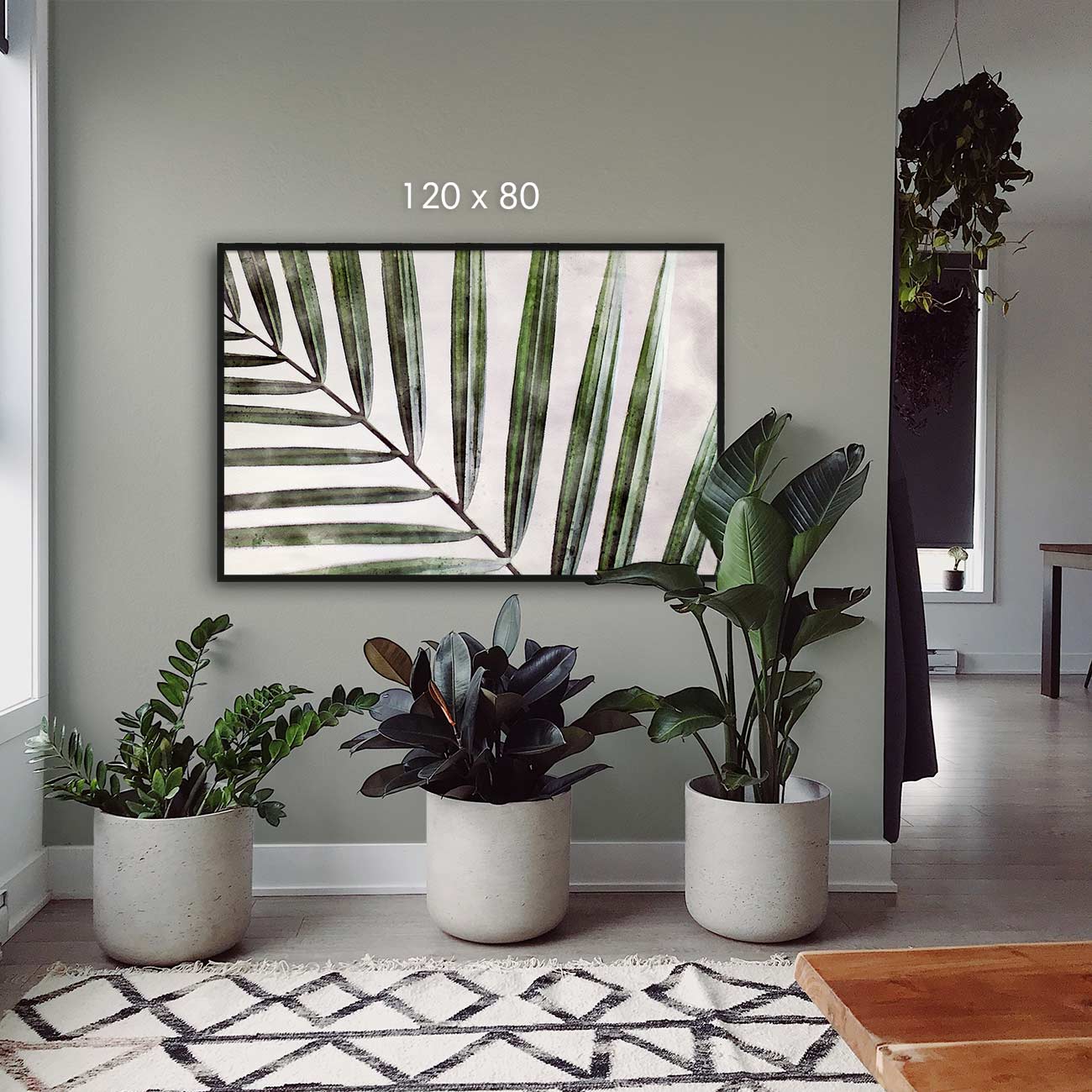 Kentia Palme