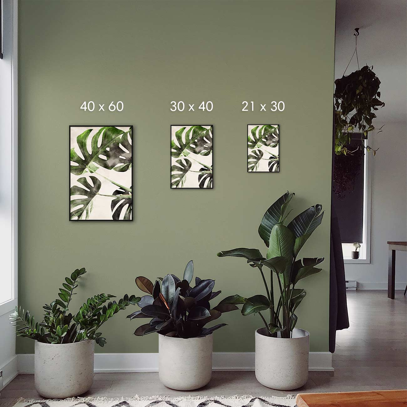 Monstera-Deliciosa