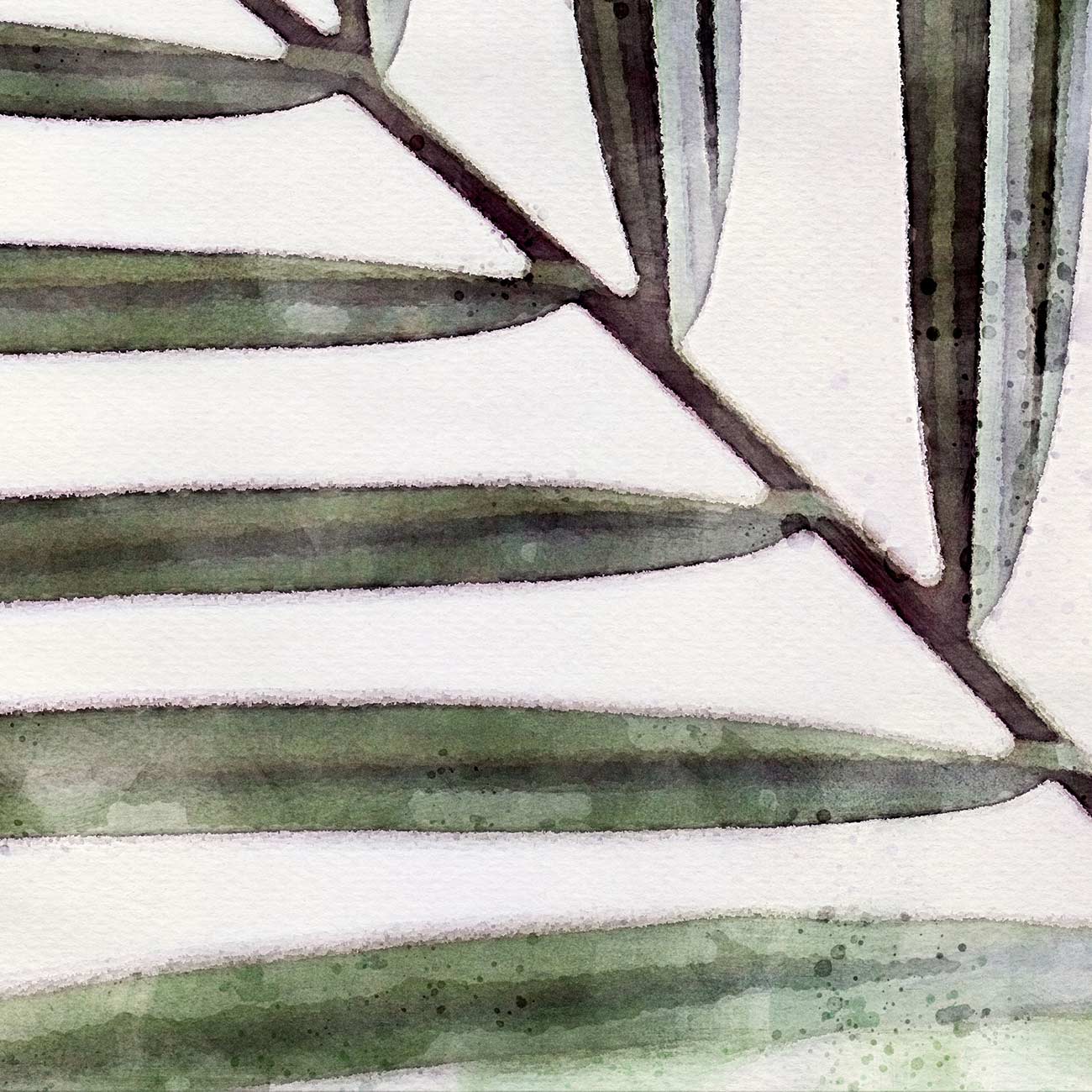 Kentia Palme
