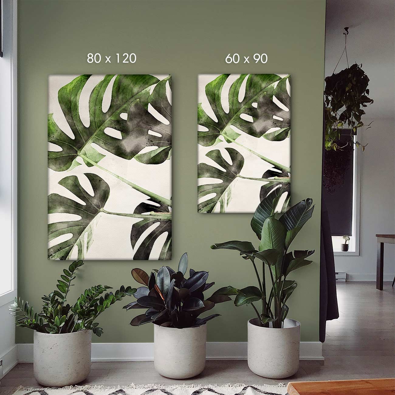 Monstera-Deliciosa