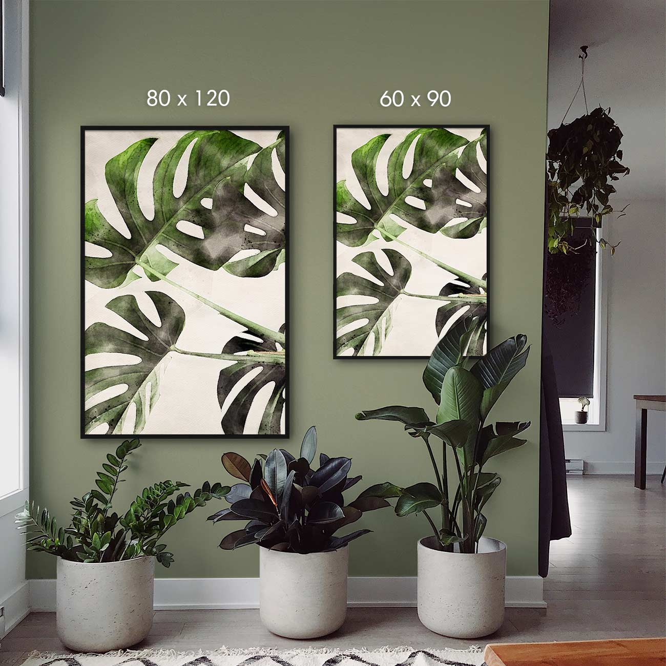 Monstera-Deliciosa