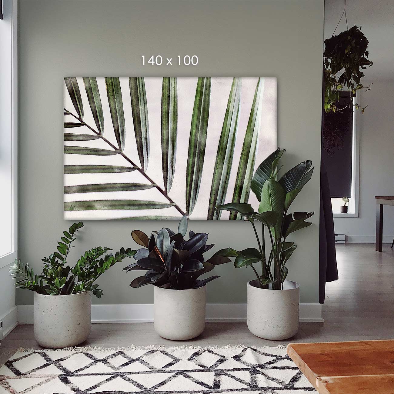 Kentia Palme