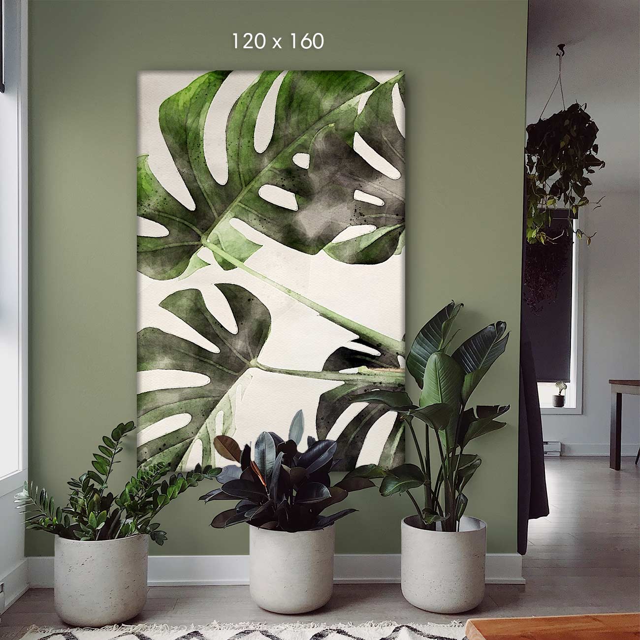 Monstera-Deliciosa